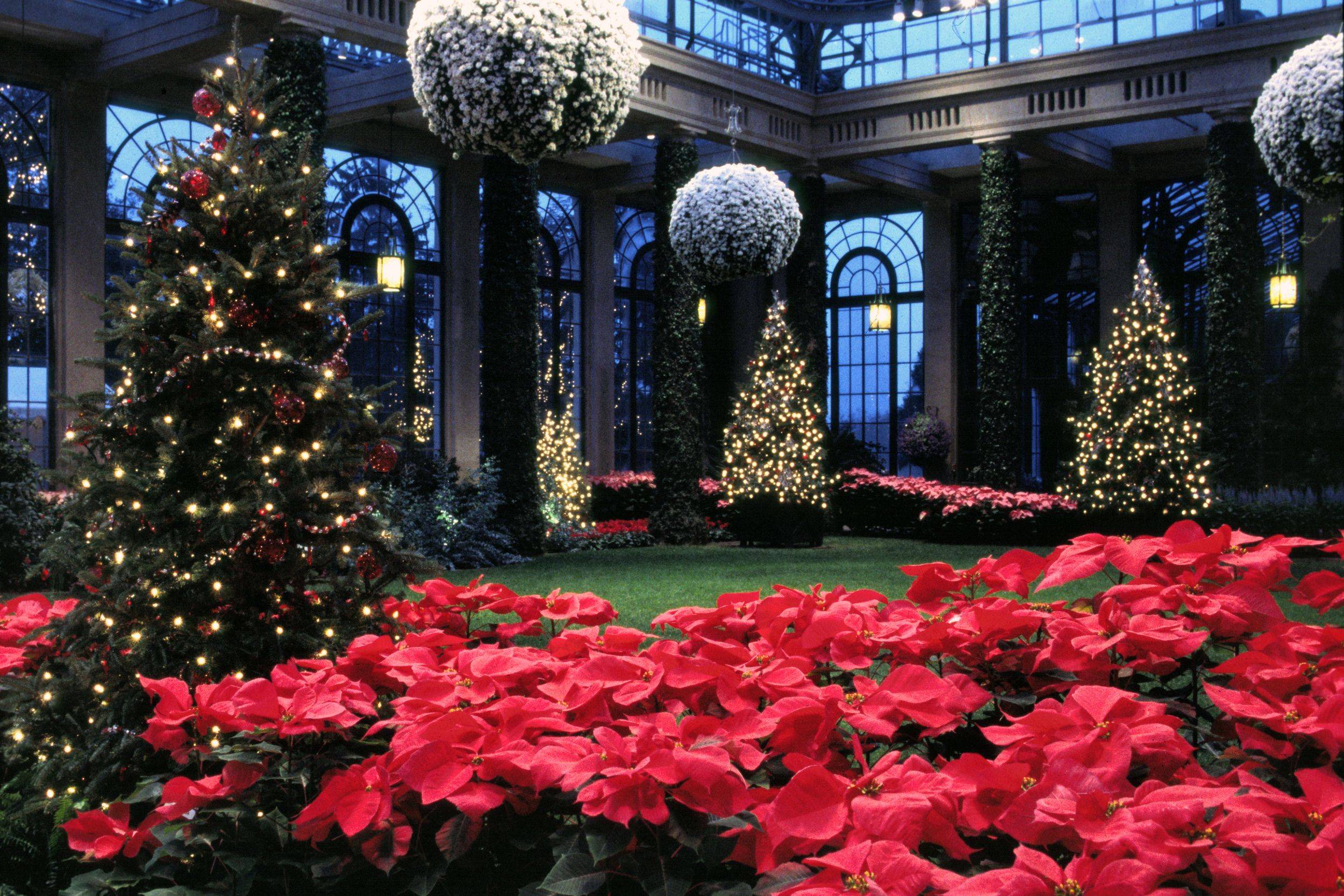 Longwood Gardens Brilliant Holiday Display