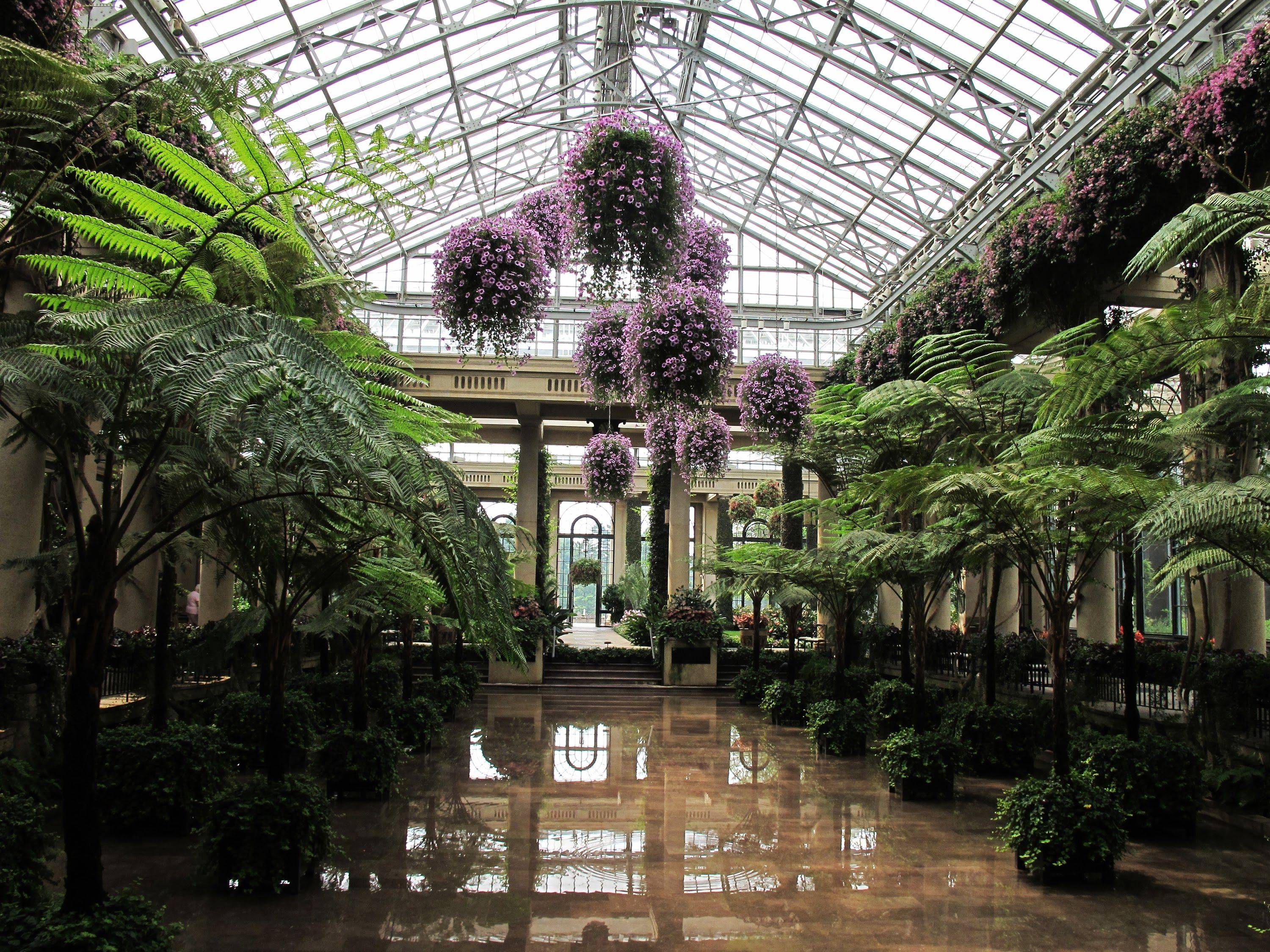 Christmas Time Longwood Gardens