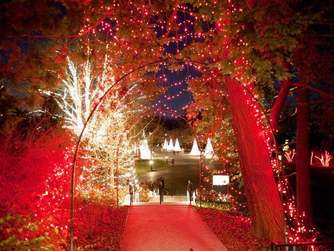 Amazing Outdoor Lights