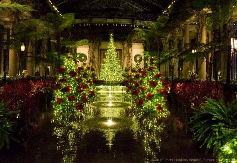 Best Botanical Garden Holiday Light Displays