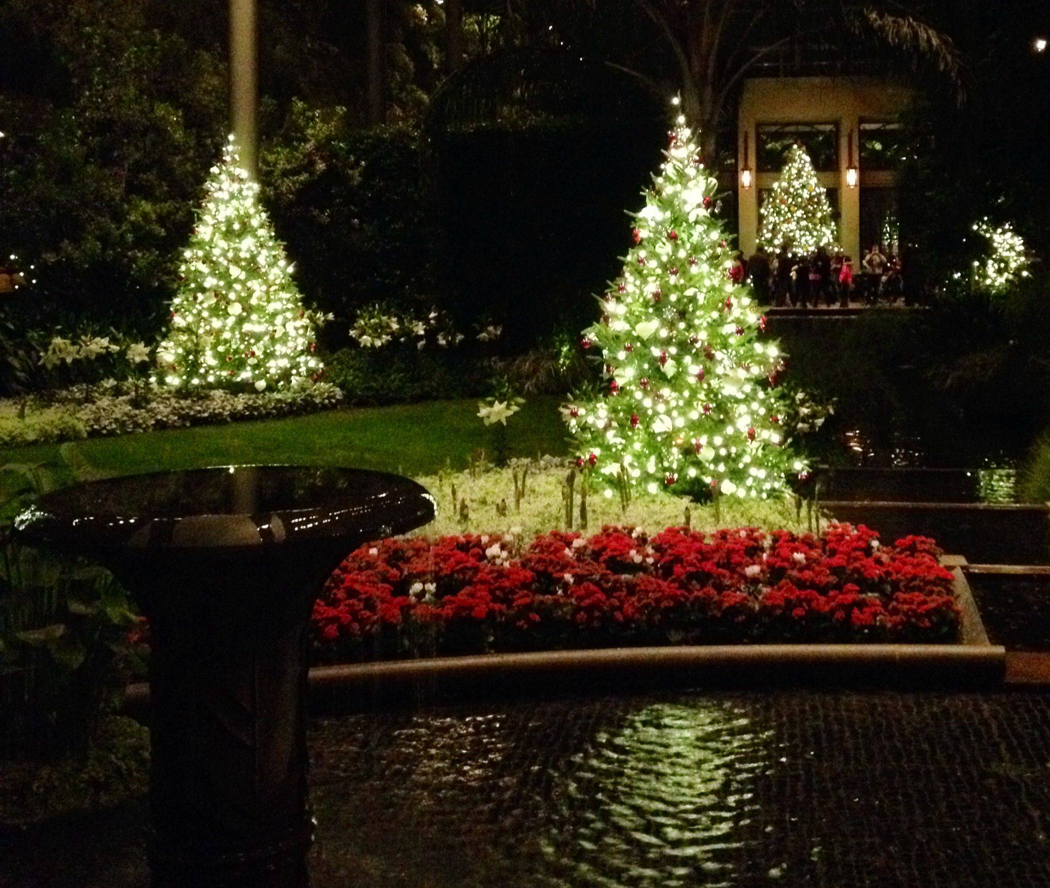 Lighted christmas gardens washington dc