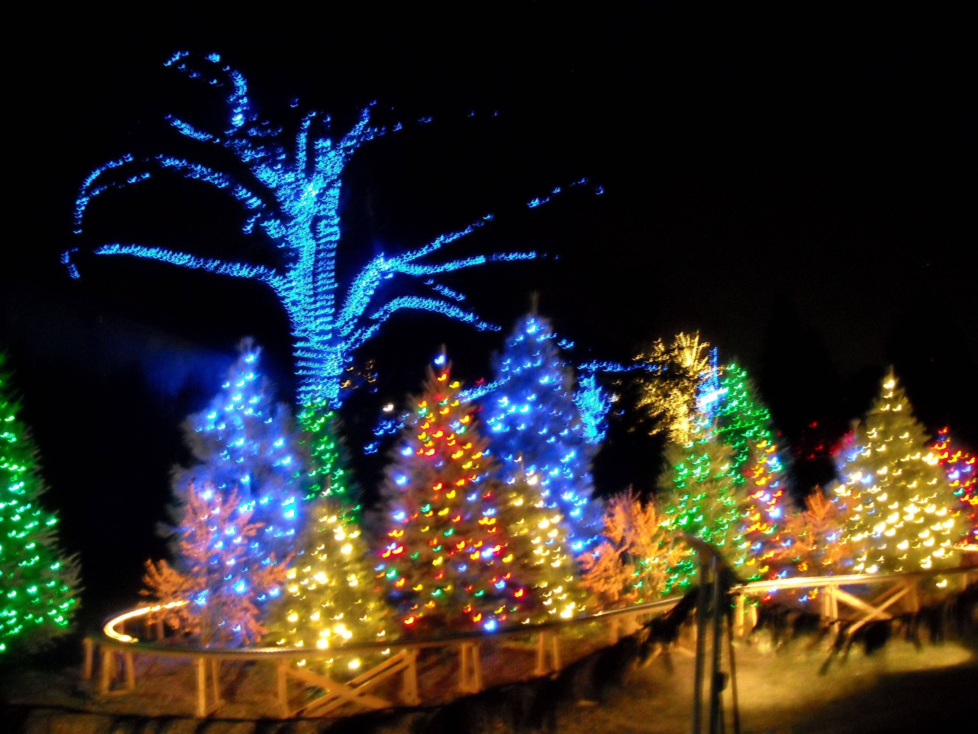 The Main Conservatory