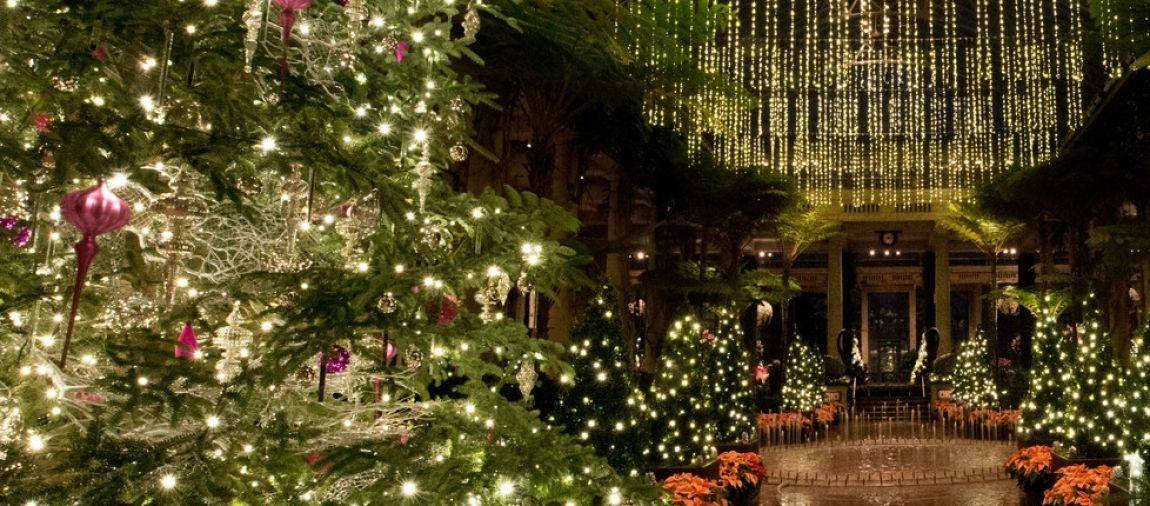 Lights Longwood Garden
