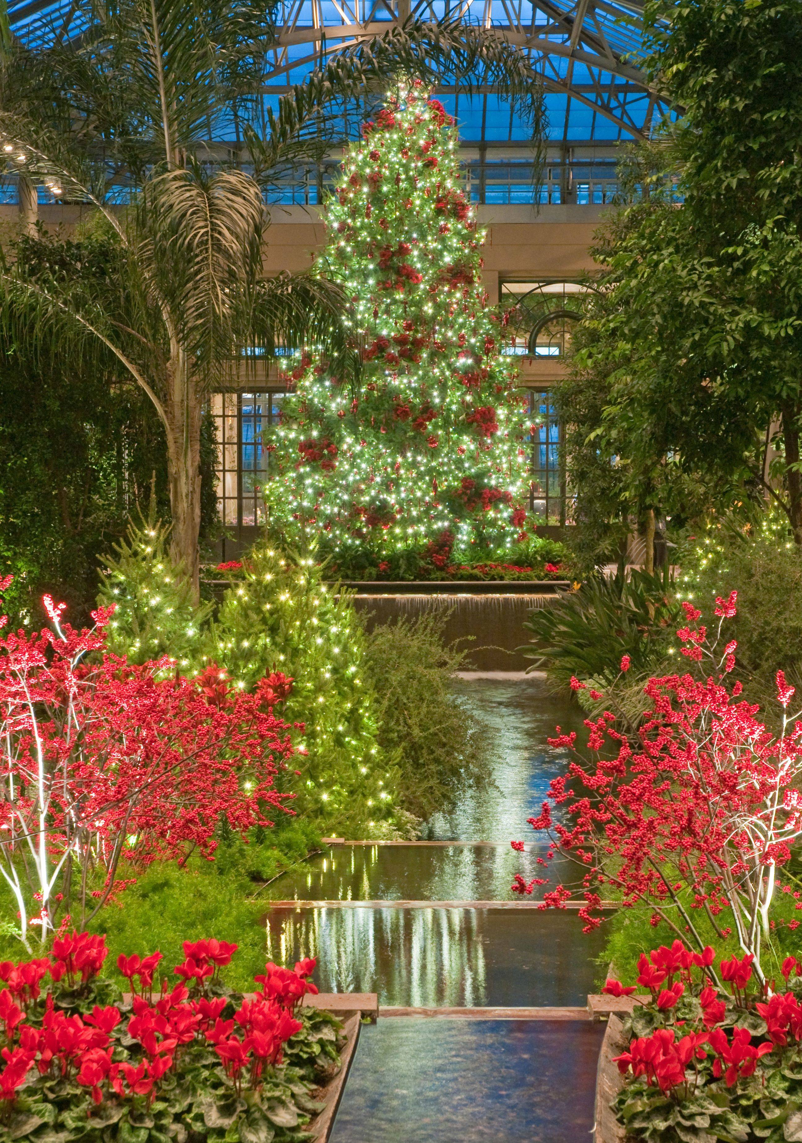 Longwood Gardens Holiday Display Longwood Gardens