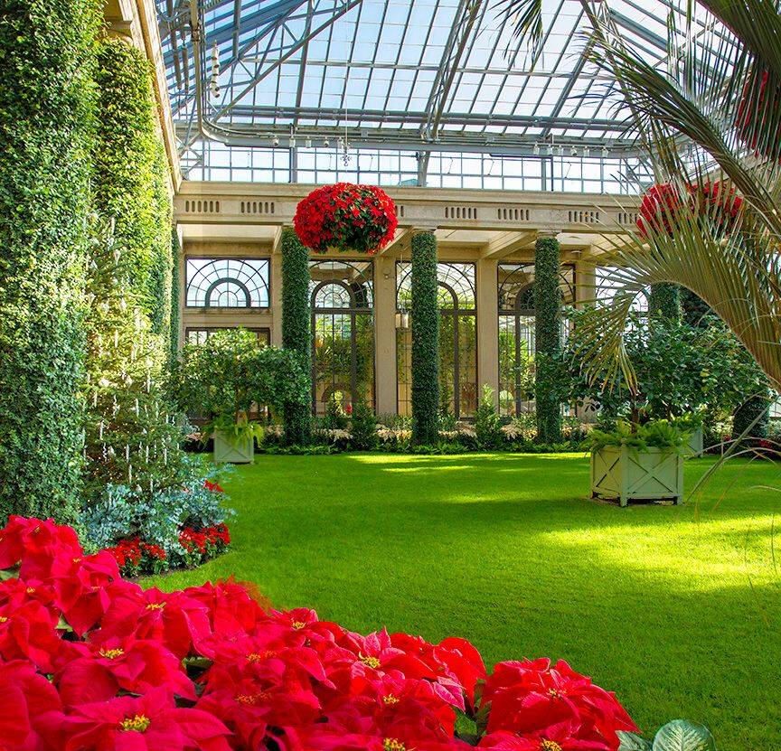 Three Floating Trees