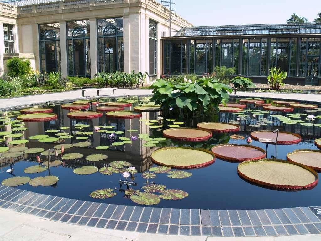 Longwood Gardens Water Lilies Part Menzelphotography Waterlilies