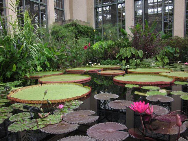 Conservatory Longwood Gardens