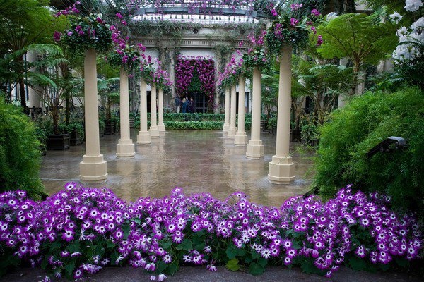 Longwood Gardens Anniversary Session Sandy