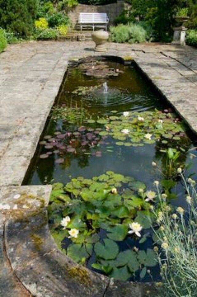 The Mediterranean Garden