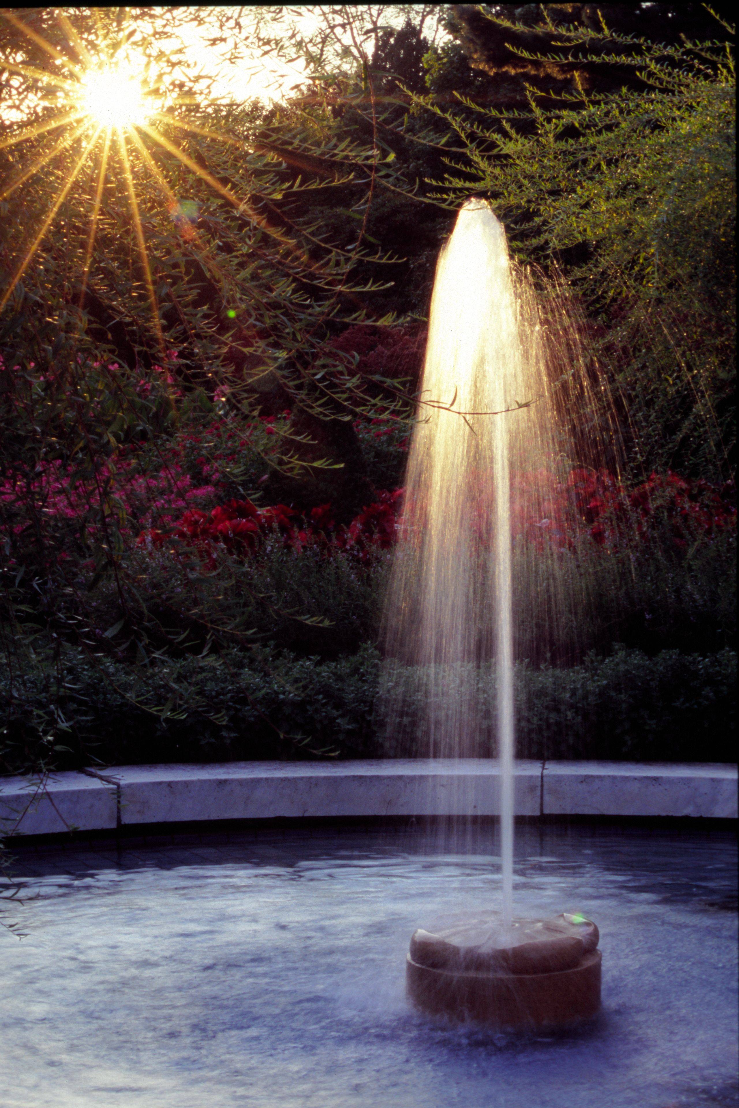 Longwood Gardens Fountains Light