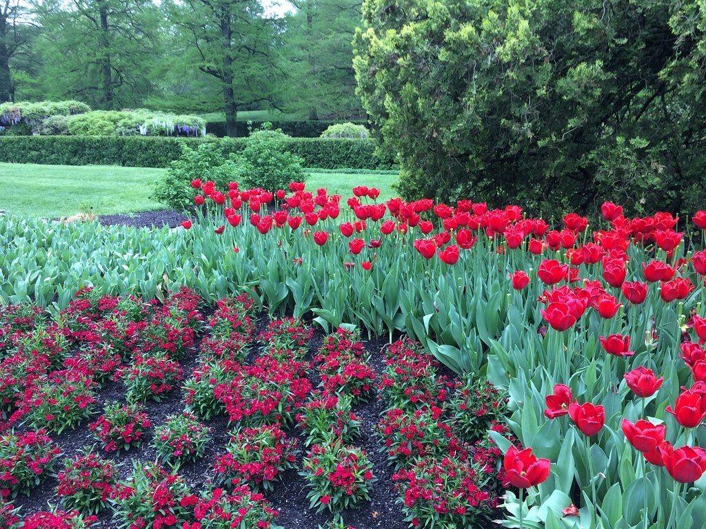 Public Gardens Photo Tours Forum