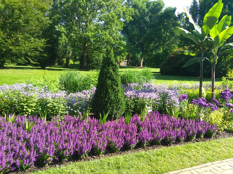 Public Gardens Photo Tours Forum