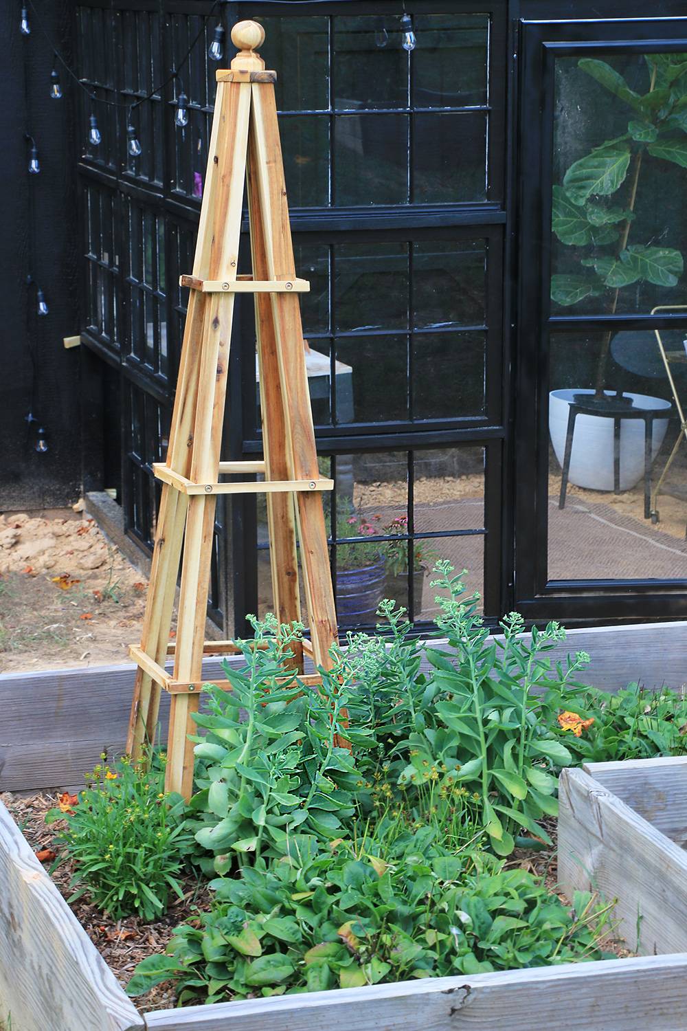 Manhattan Obelisk Wood Trellis Gardenerscom