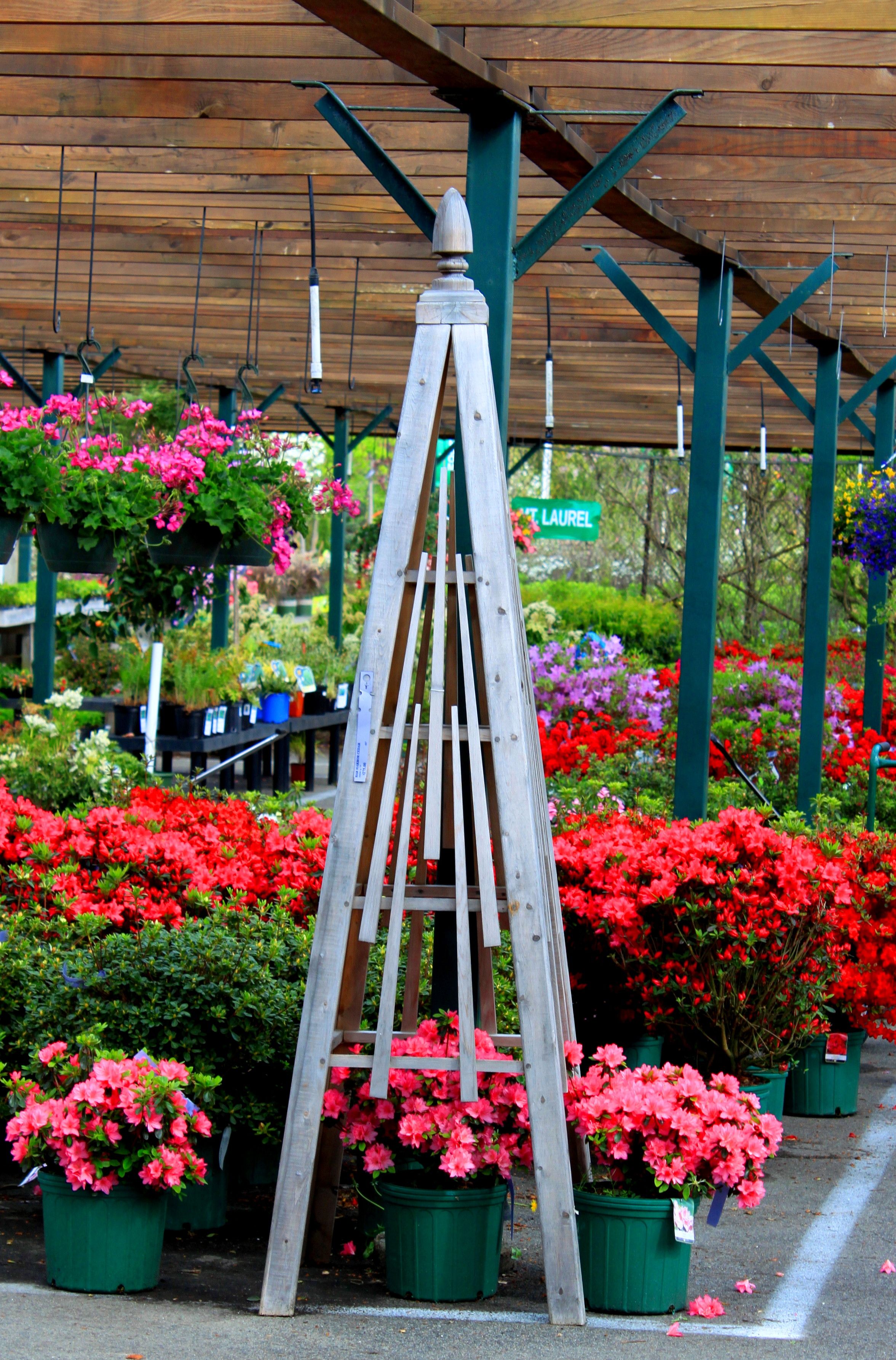 Wooden Obelisk Painted Garden Obelisks Gallery