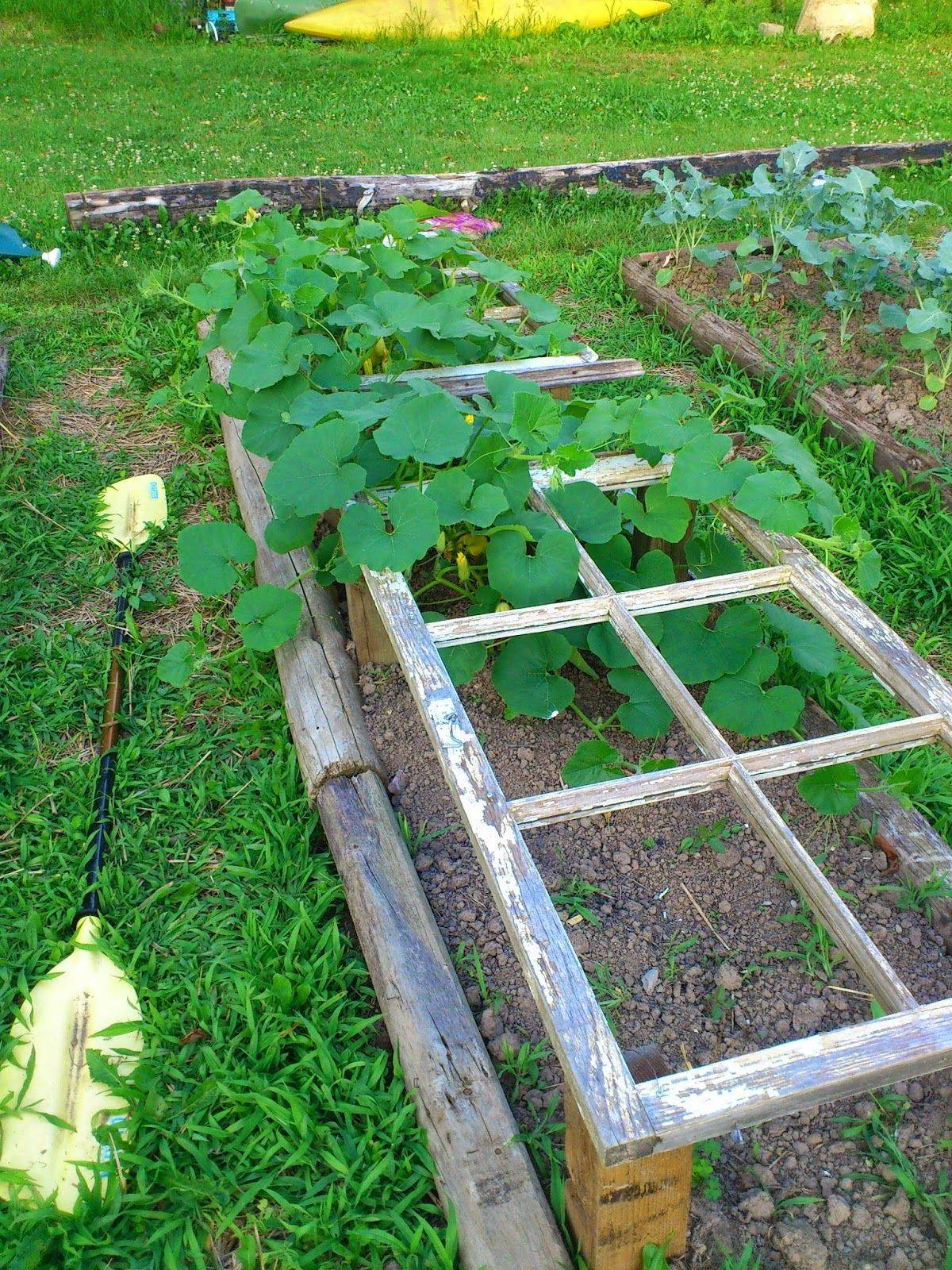 Google Search Rustic Trellis