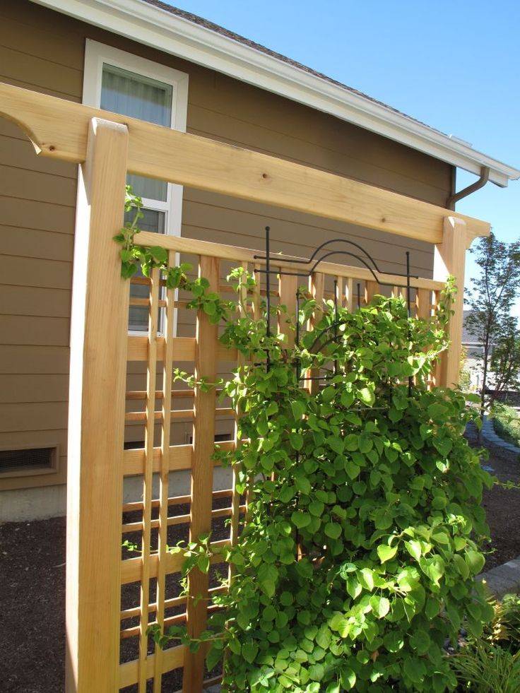 Outdoor Eucalyptus Configurable Privacy Screen Trellises