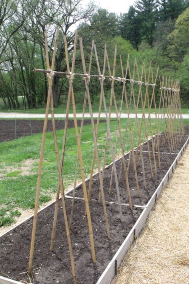 Easy And Cheap Diy Garden Trellis Ideas You Should Try