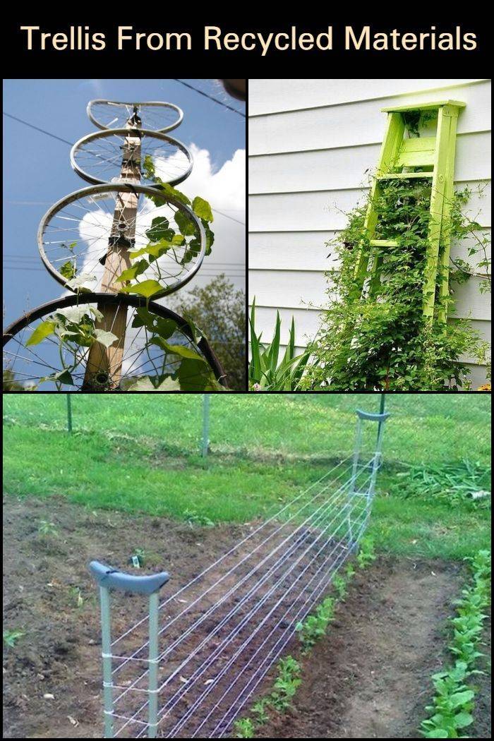 25 Cheap Garden Trellis Ideas To Consider SharonSable