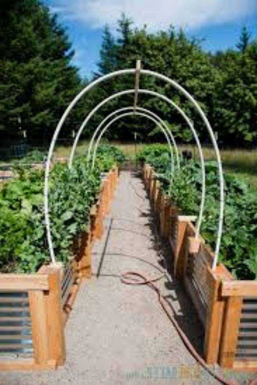 Functional Diy Cucumber Trellis Ideas