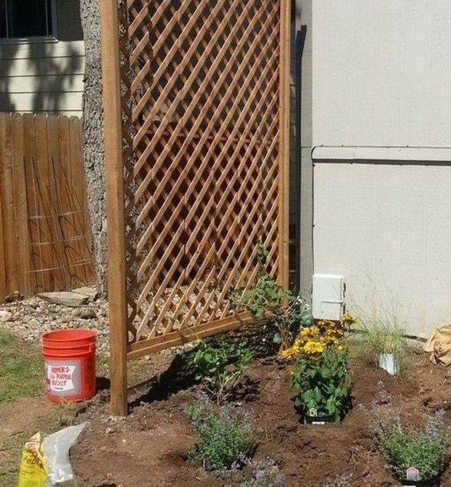 Cheap Backyard Ideas