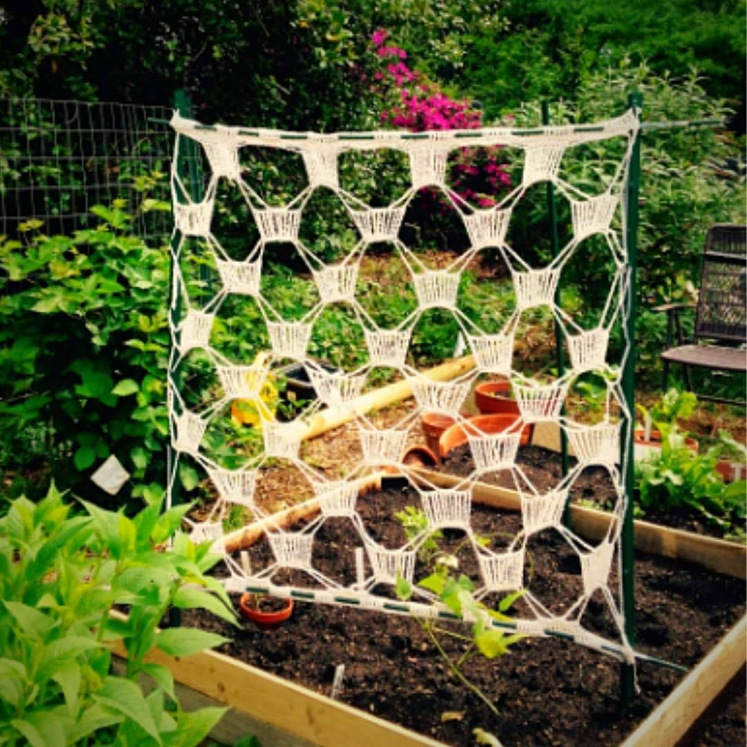 Cheap Garden Trellis Decoration Everything