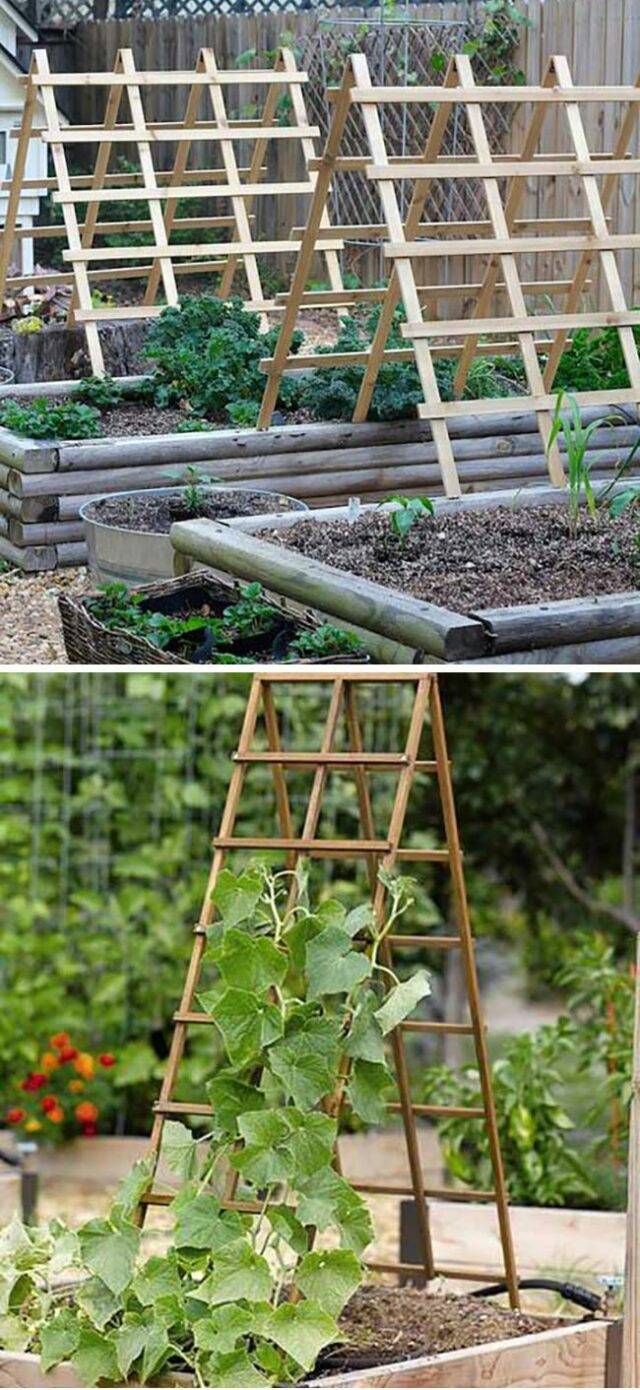 Your Garden Diy Garden