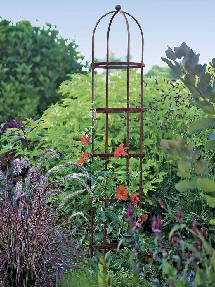Unique Garden Trellis Ideas