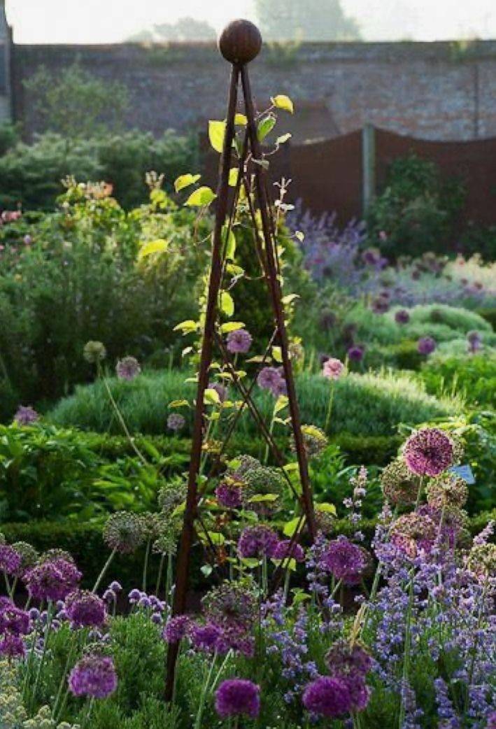 Climbing Garden Plants