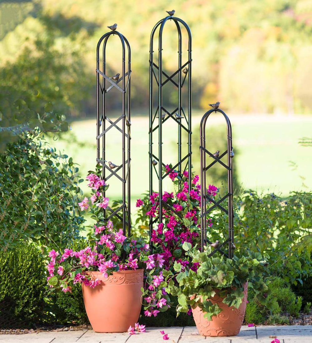 Garden Obelisk