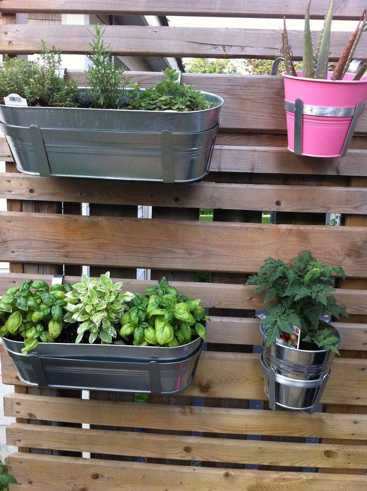 Diy Google Search Diy Garden Trellis