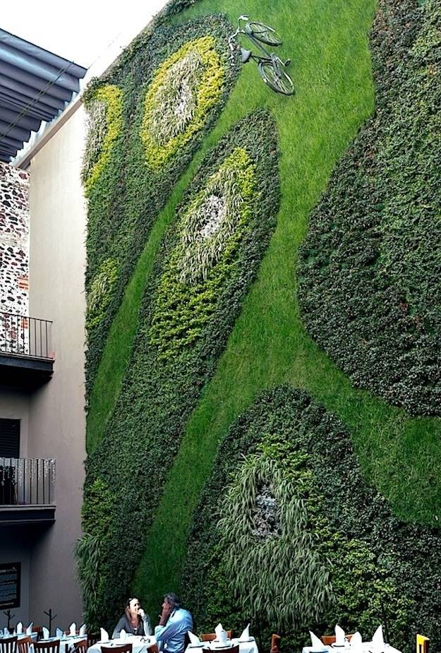 Vertical Gardening Google Search