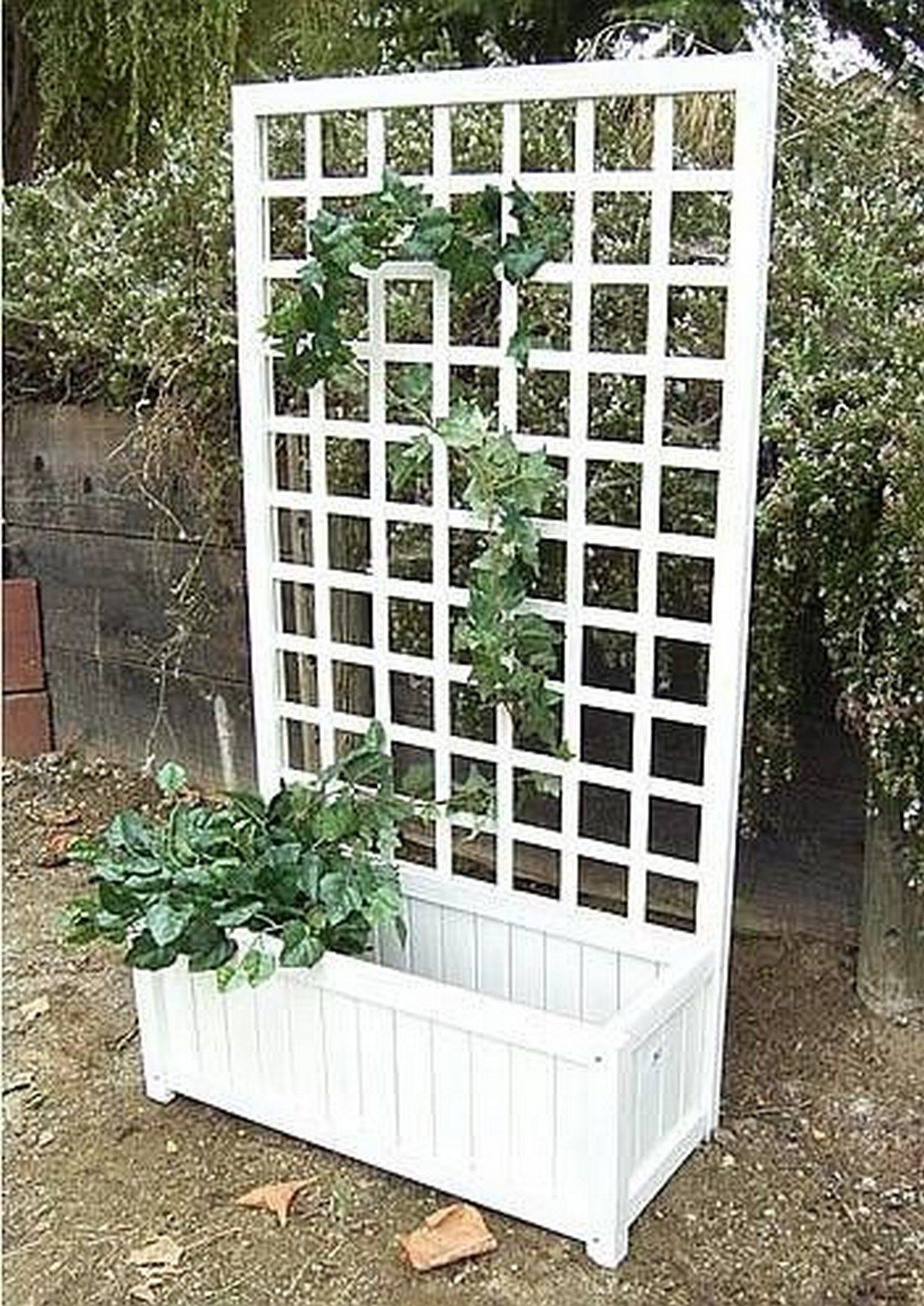 Outdoor Eucalyptus Configurable Privacy Screen Trellises