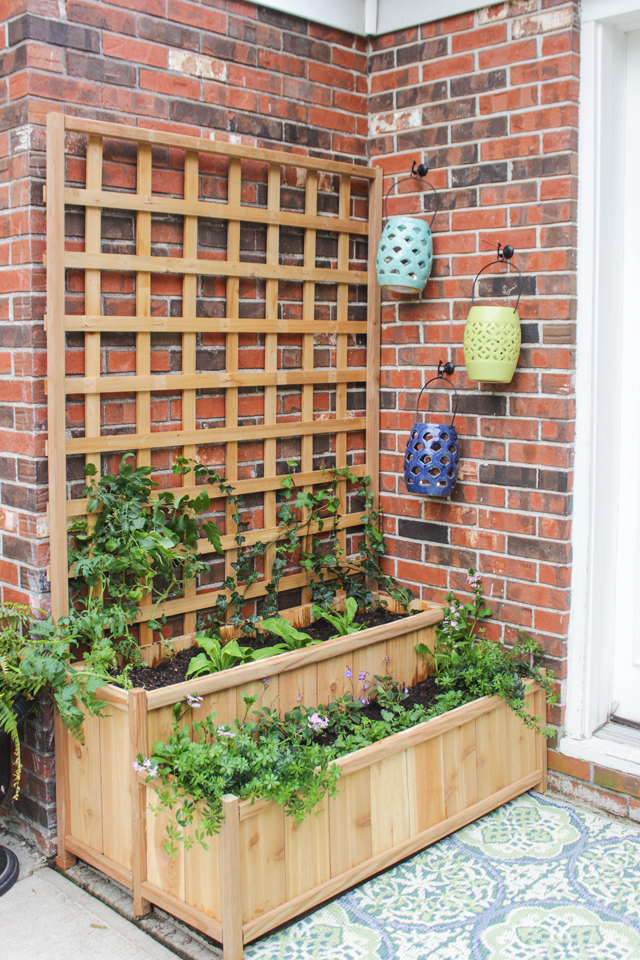 Vertical Gardening Urban Garden Planter Trellis