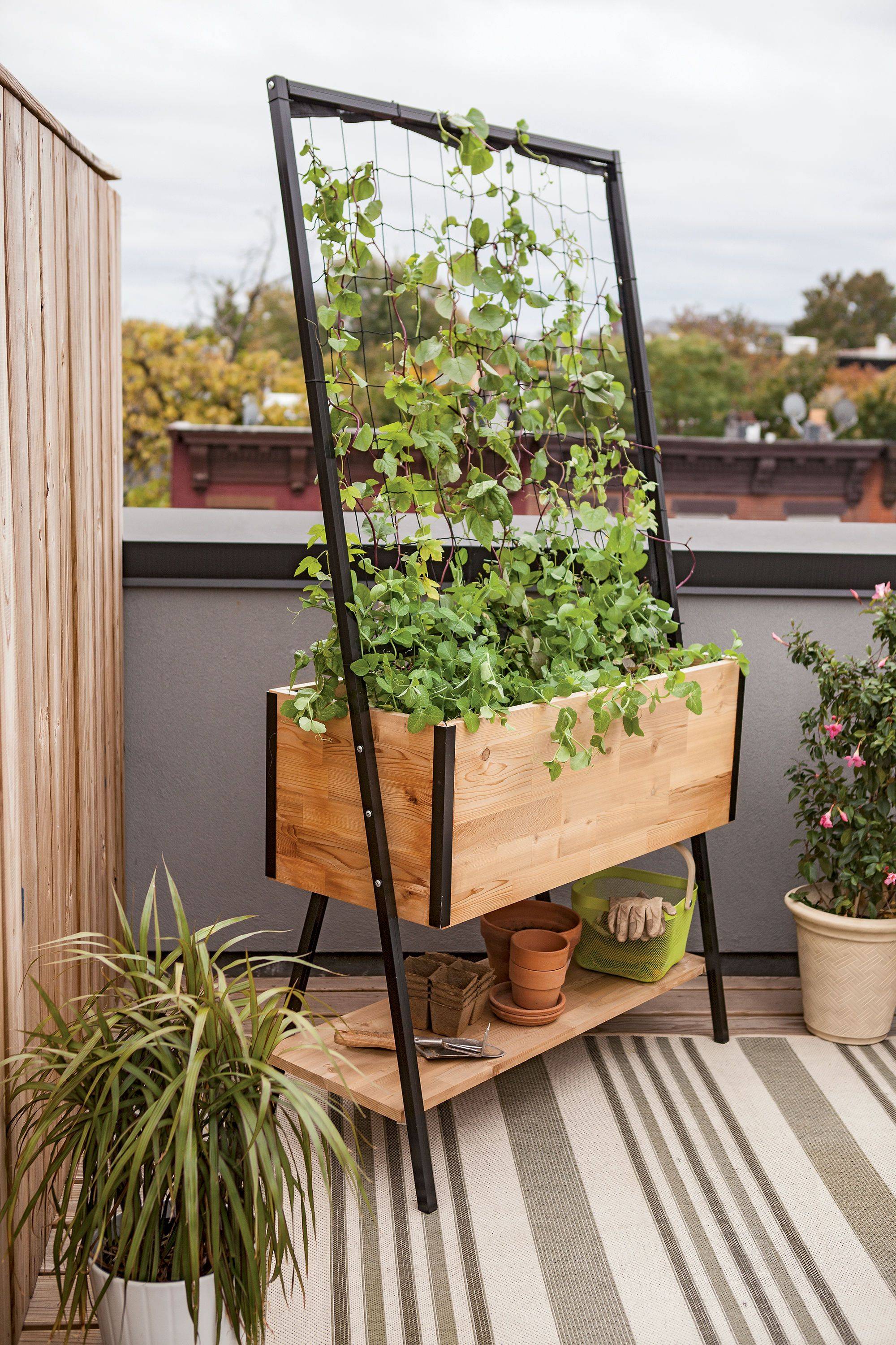 Laney Plastic Planter Box