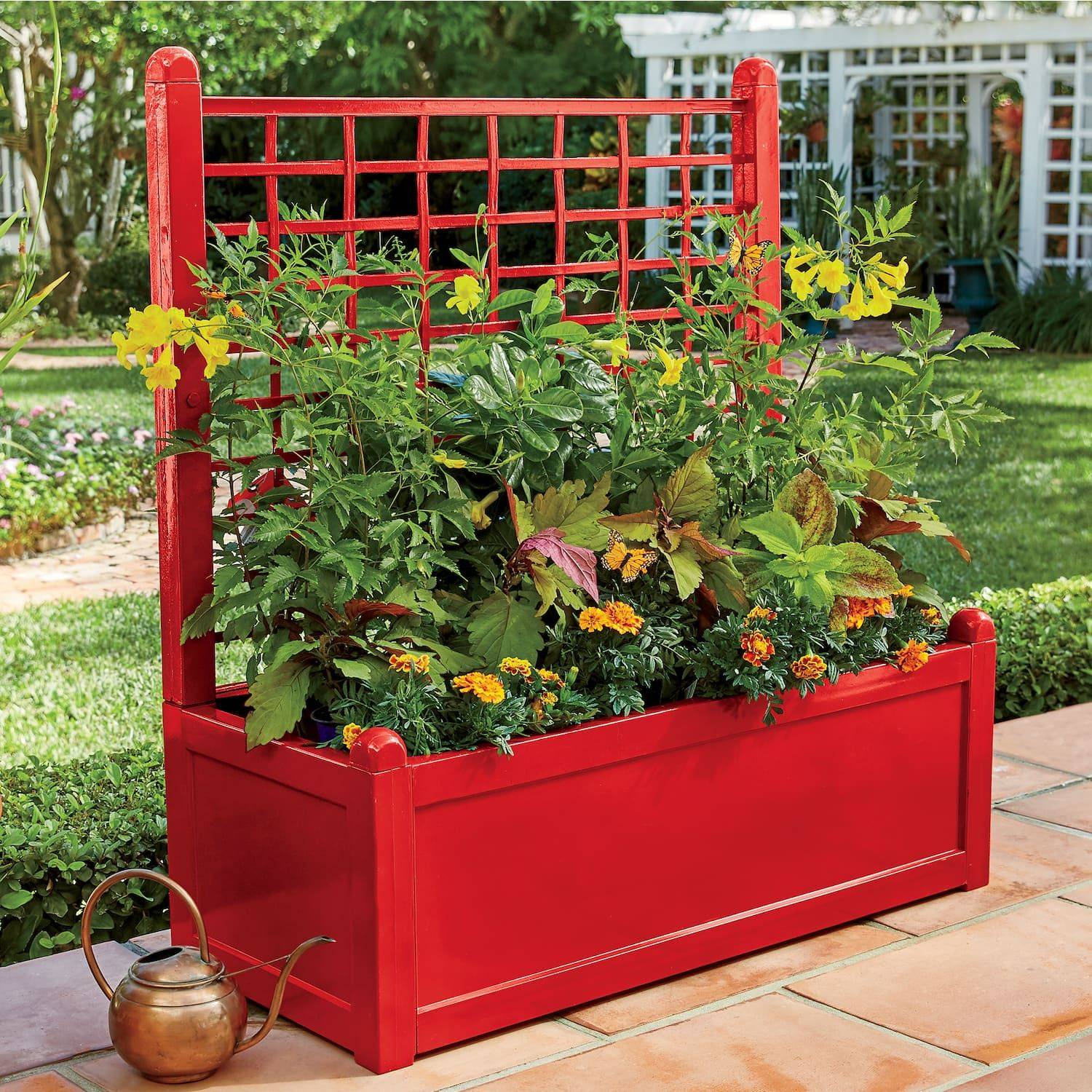 Macrocarpa Planter Boxes