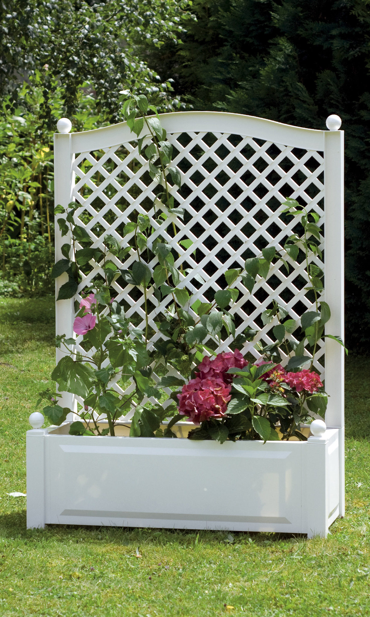 Wooden Planters