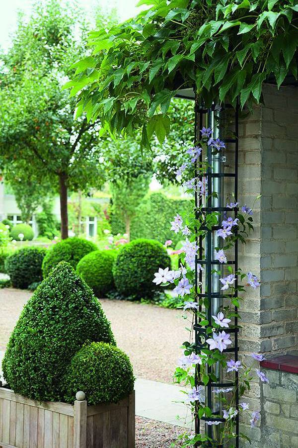 Easy Diy Garden Trellis Ideas