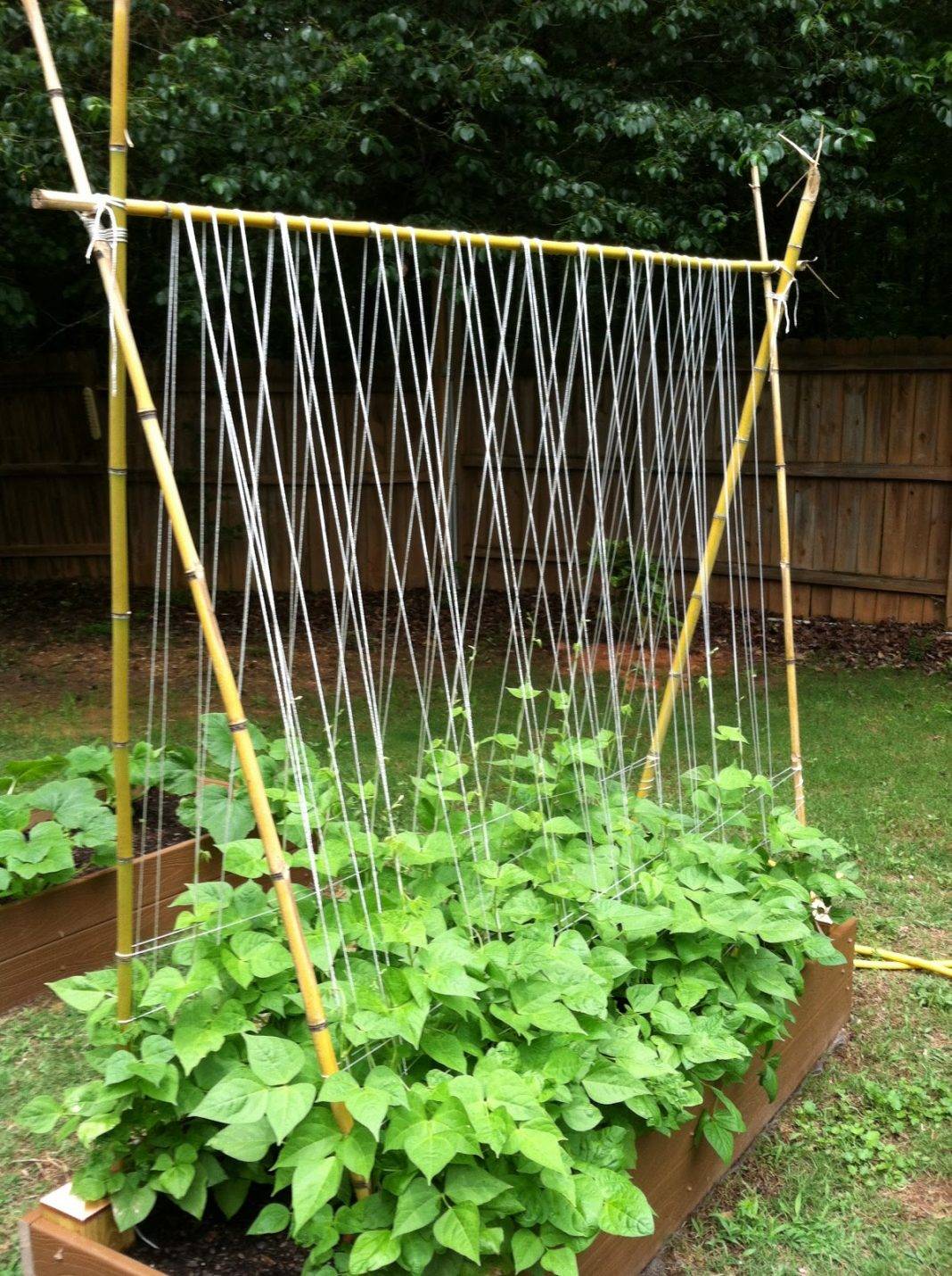 Diy Trellis Ideas