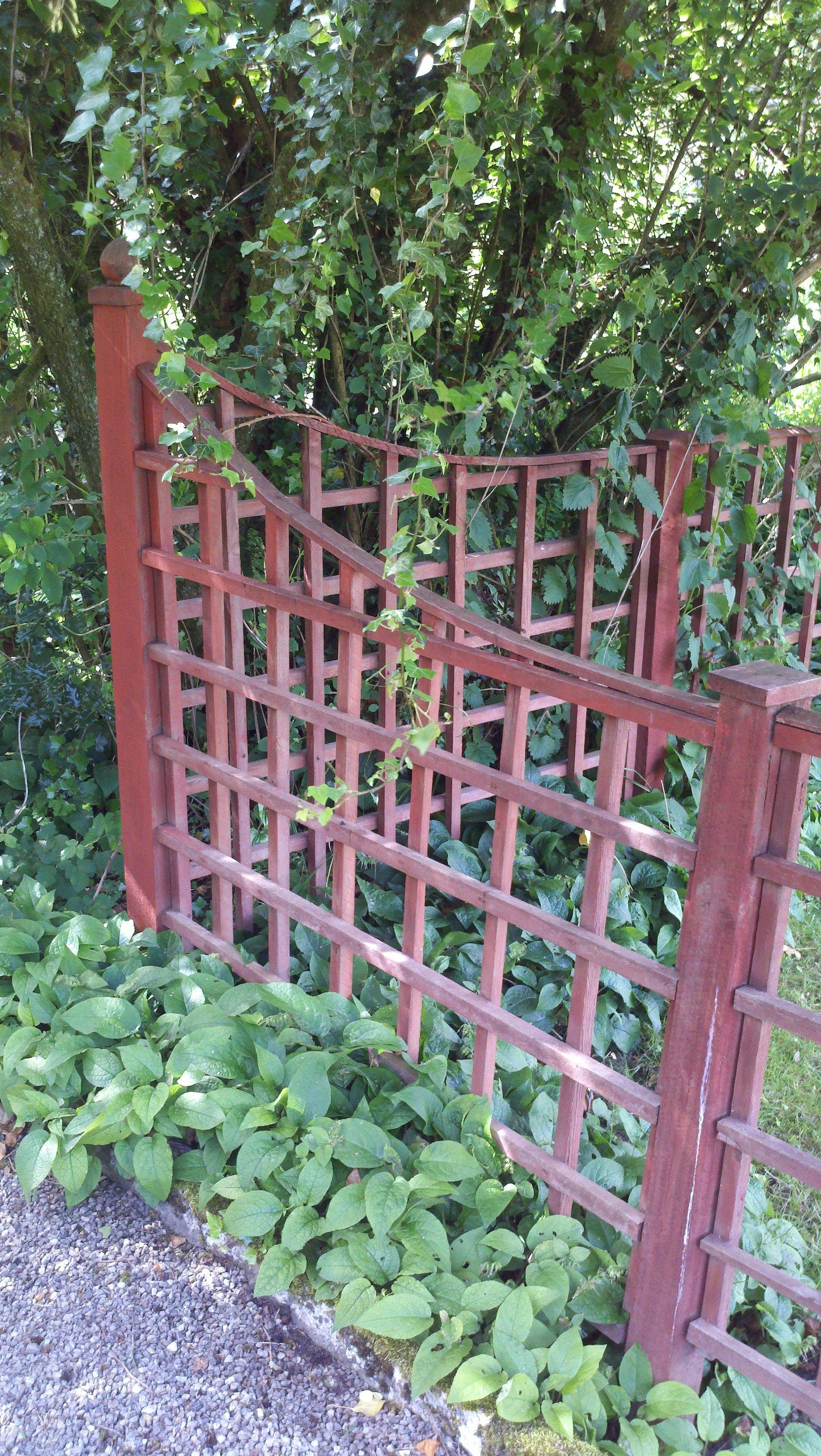 20 Corner Garden Trellis Ideas You Must Look SharonSable