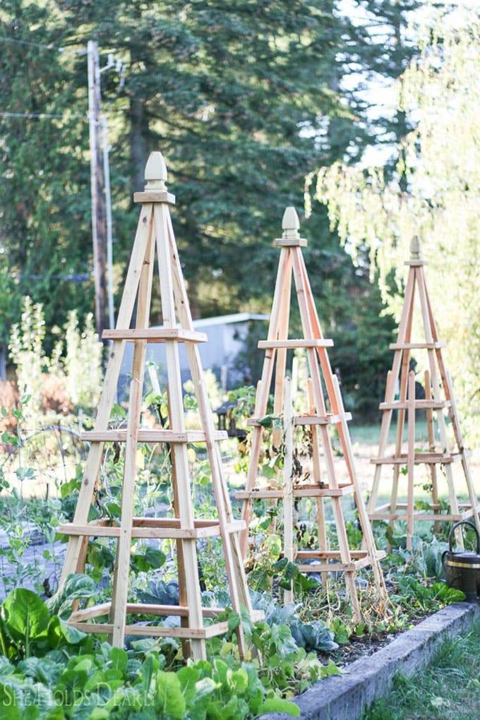 Garden Obelisk Trellis Ideas