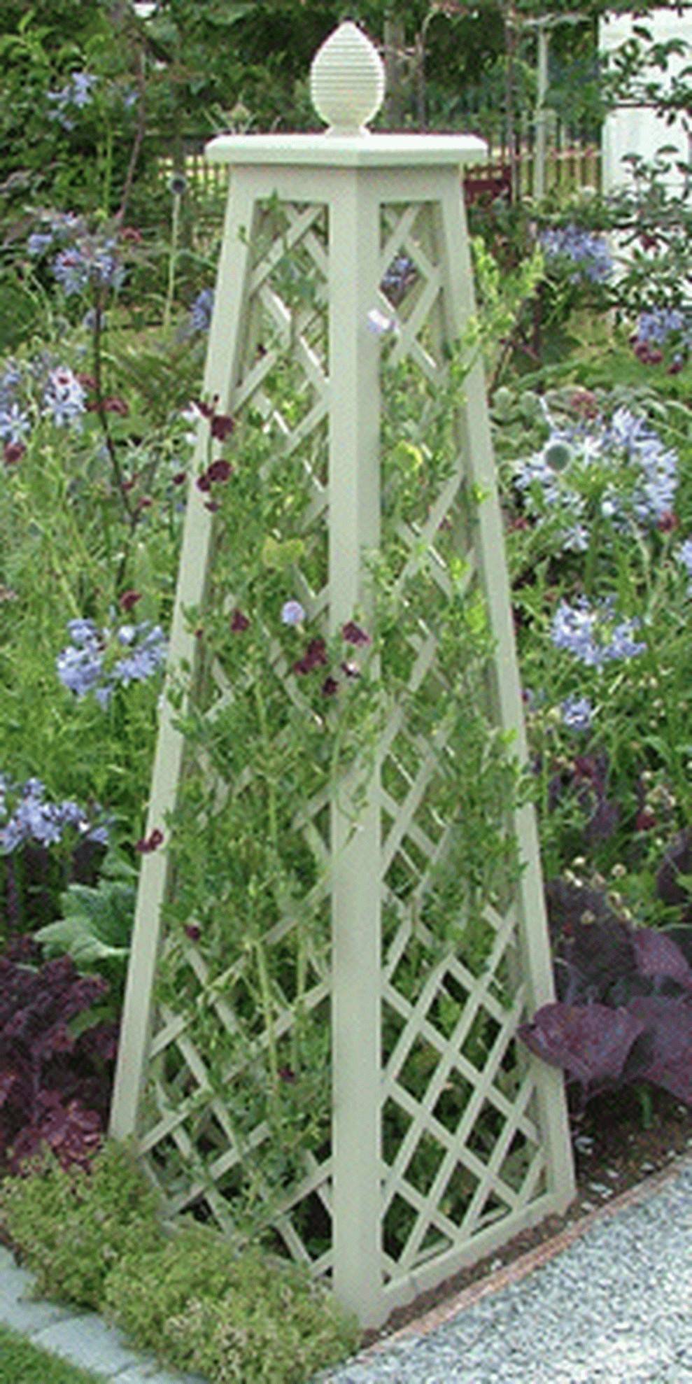 Garden Obelisk Trellis Ideas