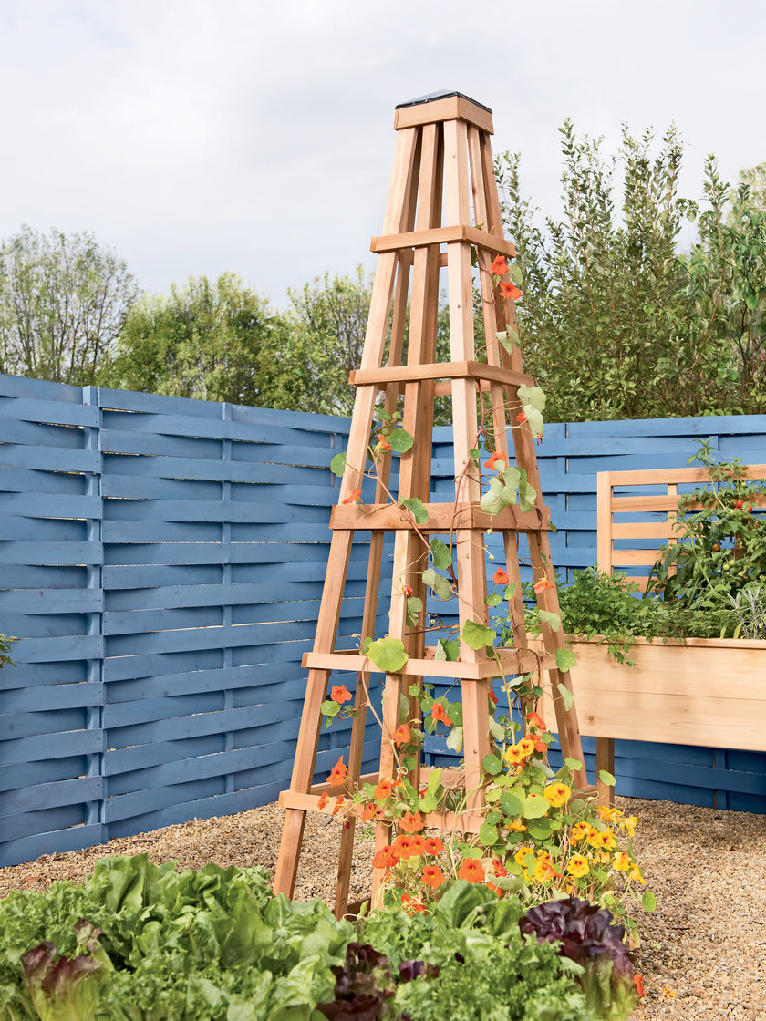 Woodenobelisktrellis Home Made By Carmona