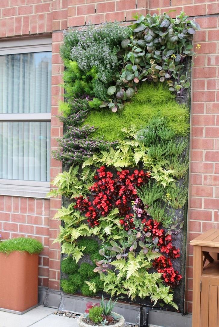 Outdoor Vertical Green Living Walls