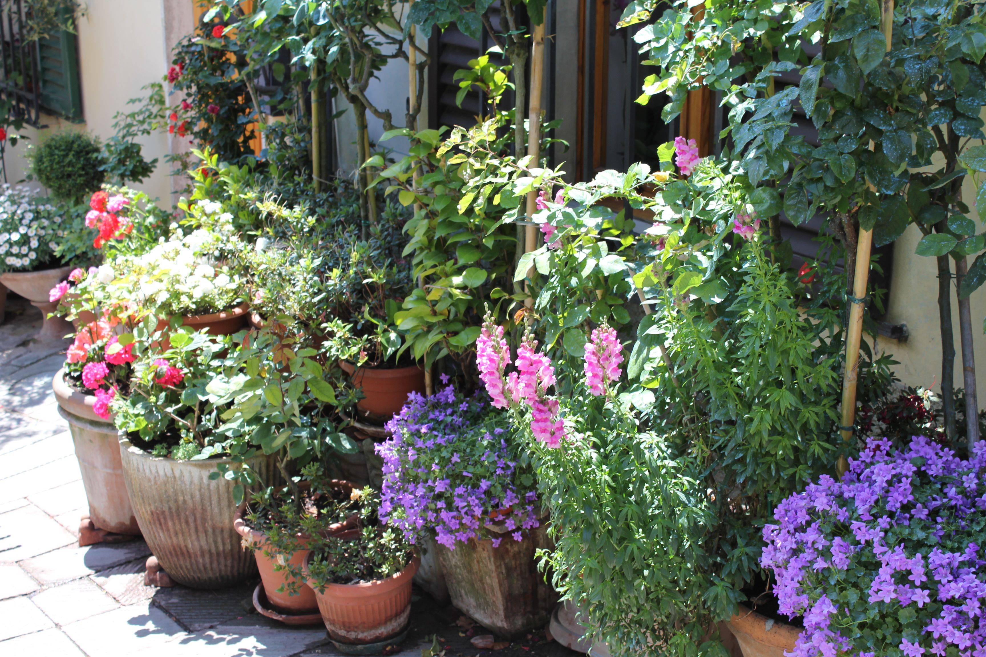 Spectacular Container Gardening Ideas