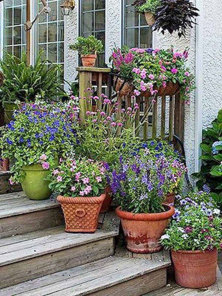 Beautiful Container Gardening Ideas