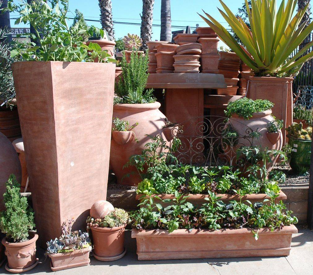 Container Gardening