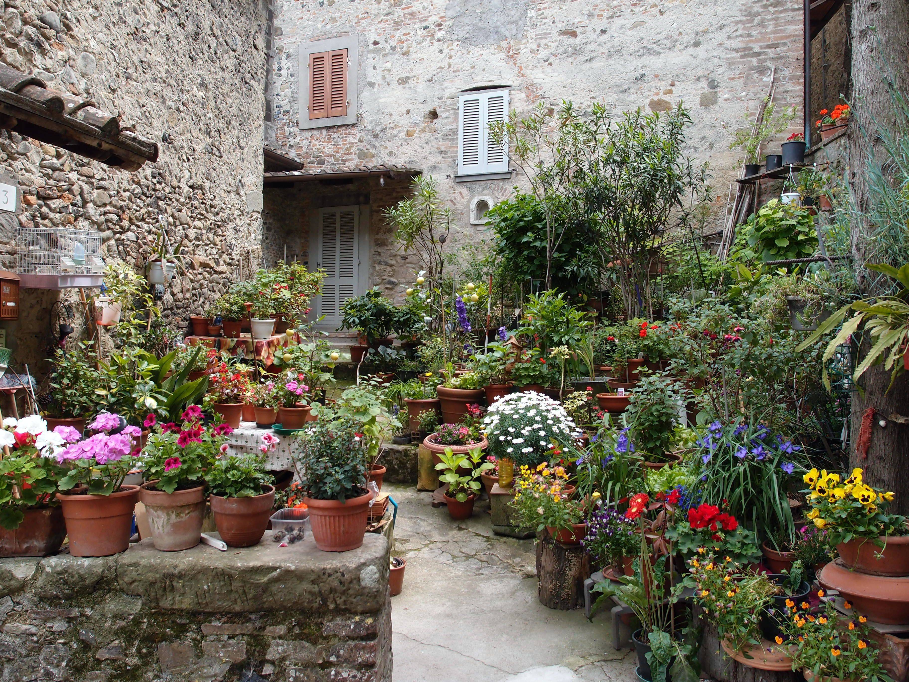 Container Gardening