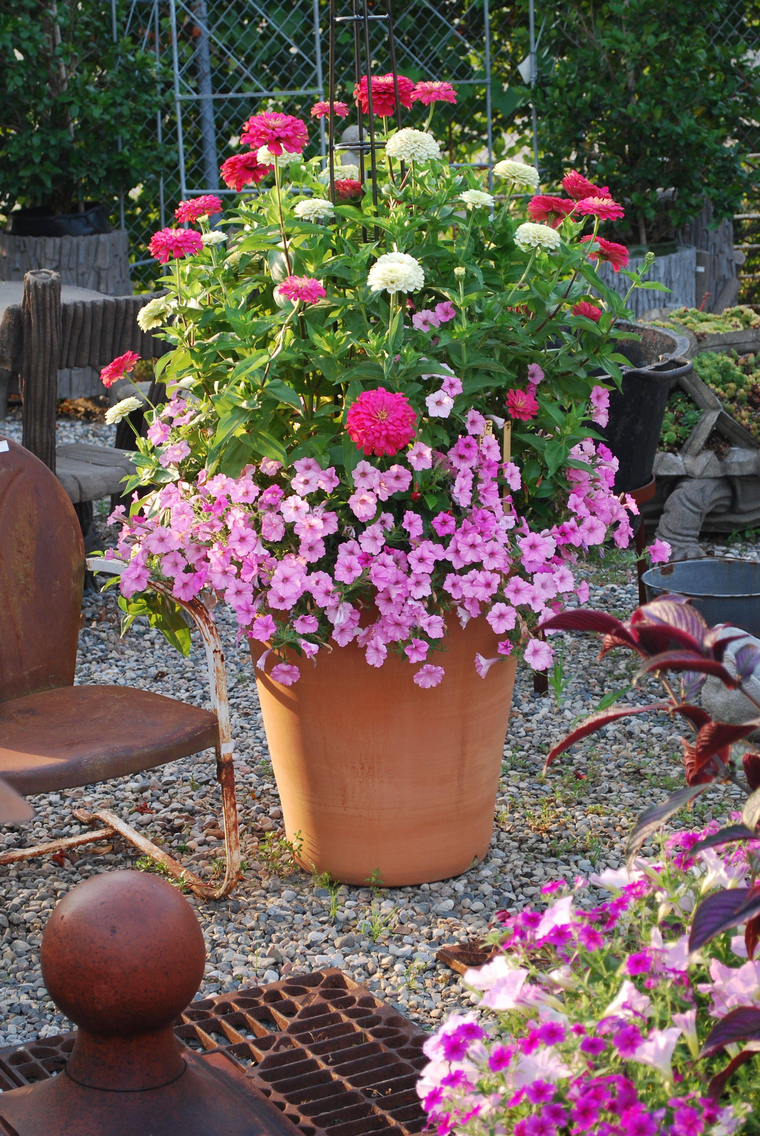 Painted Planters