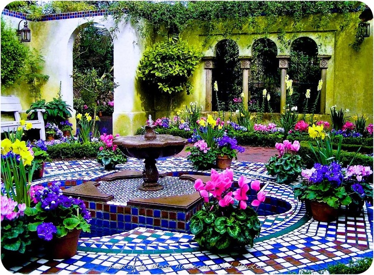 Beautiful Flower Pictures