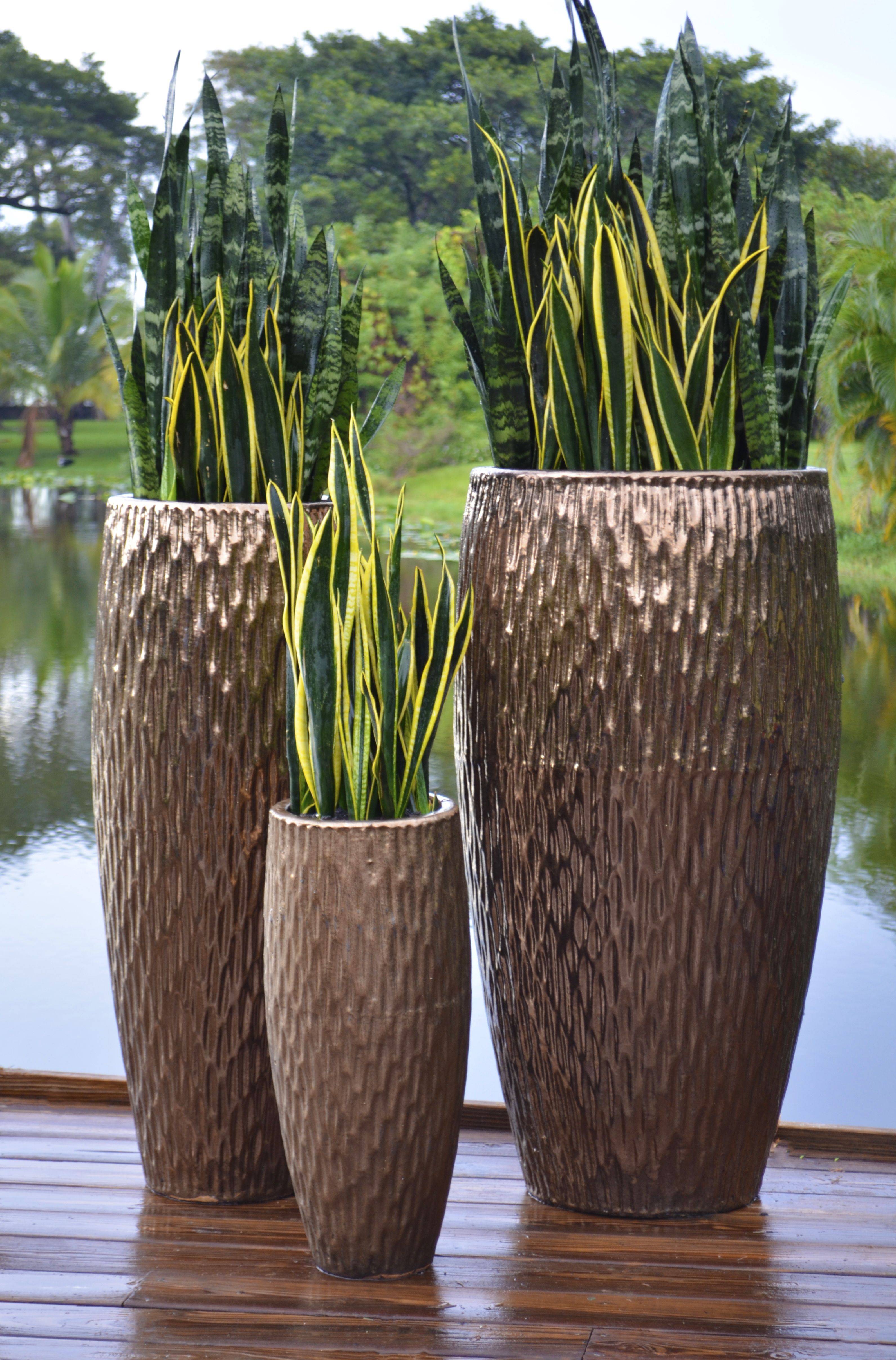 Extra Large Ceramic Planters